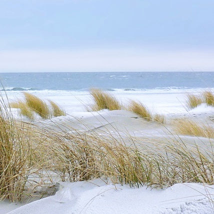 15.01.-24.01. Anapanasati Winterretreat