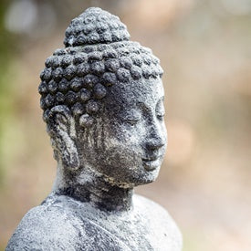 05.04.-11.04. Buddhistischer Vipassana Meditationsretreat